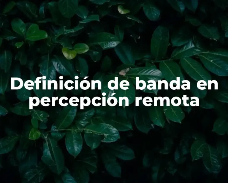 Definición de banda en percepción remota