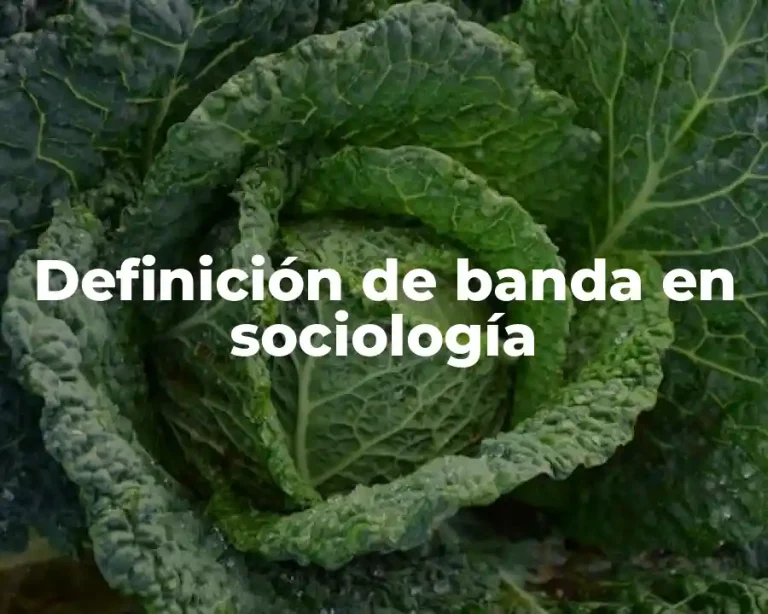 Definición de banda en sociología