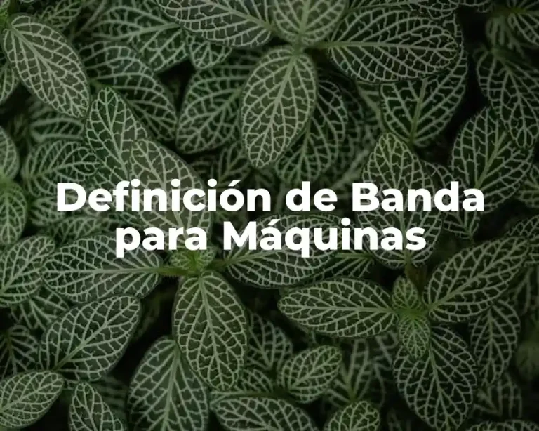 Definición de Banda para Máquinas
