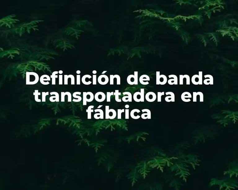 Definición de banda transportadora en fábrica