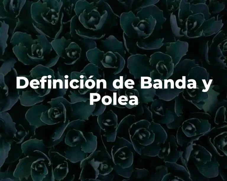Definición de Banda y Polea