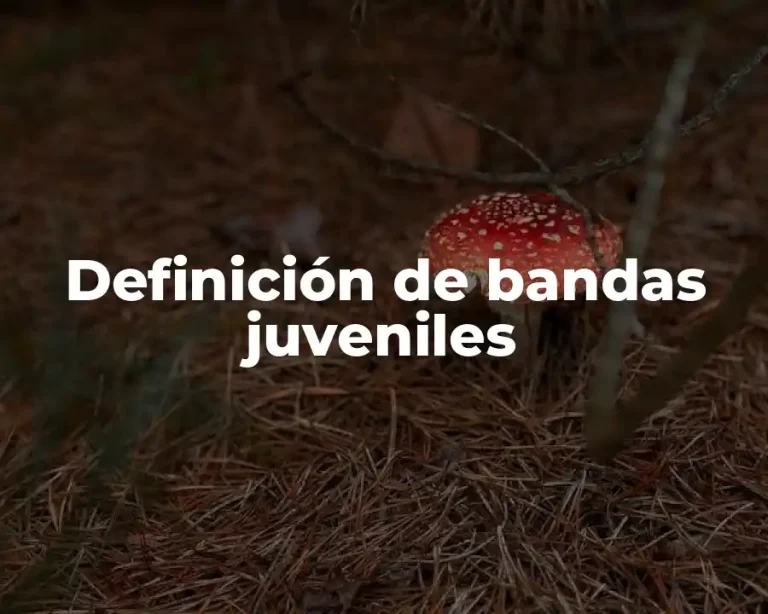 Definición de bandas juveniles