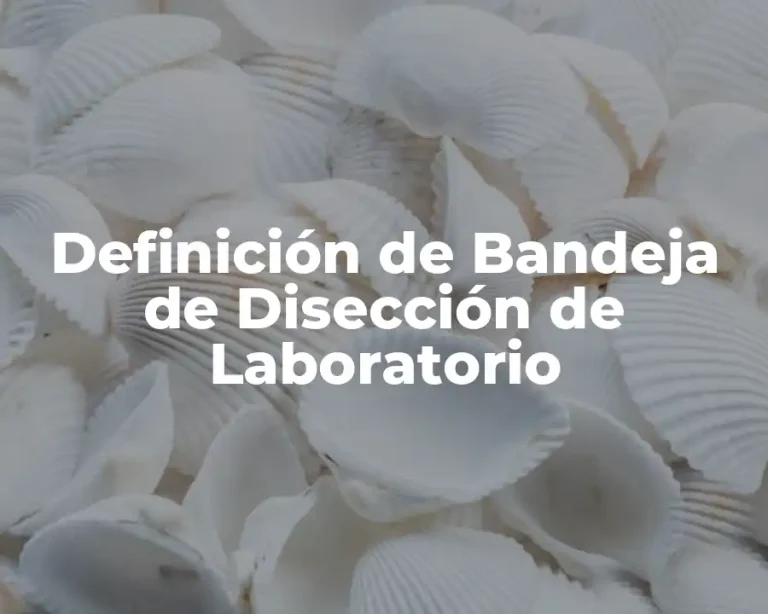 Definición de Bandeja de Disección de Laboratorio