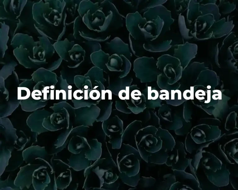 Definición de bandeja