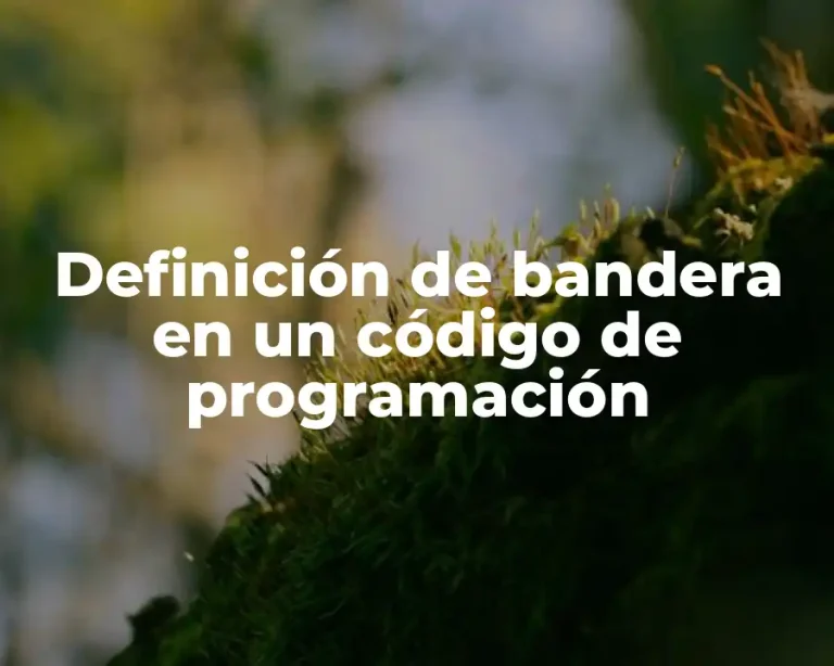 Definición de bandera en un código de programación