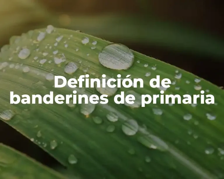 Definición de banderines de primaria