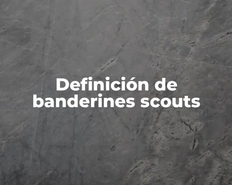 Definición de banderines scouts