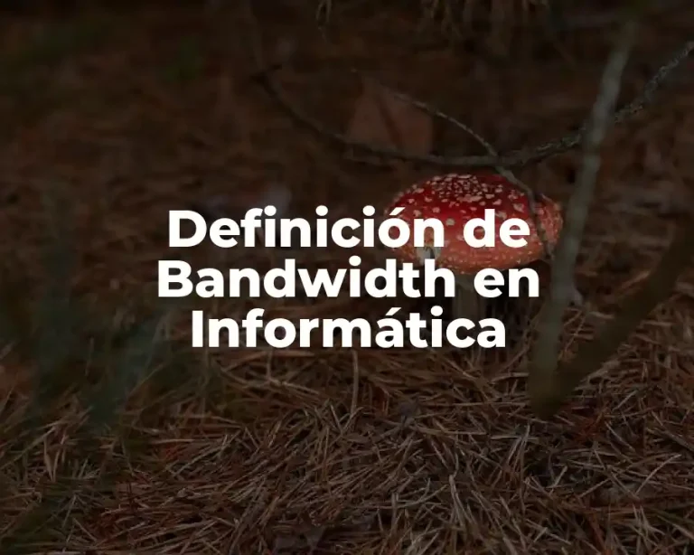 Definición de Bandwidth en Informática