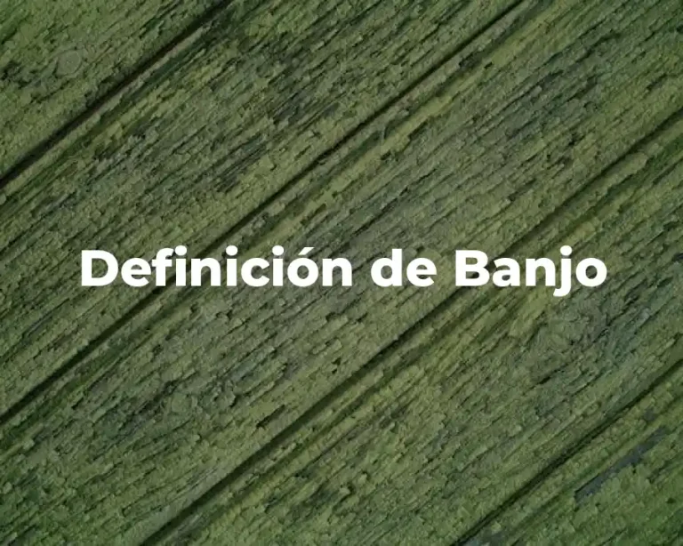 Definición de Banjo
