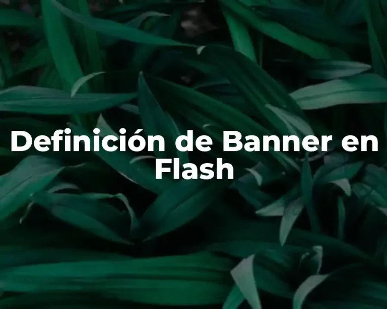 Definición de Banner en Flash