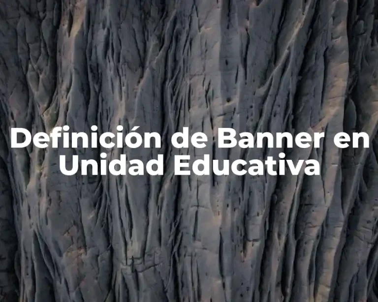Definición de Banner en Unidad Educativa