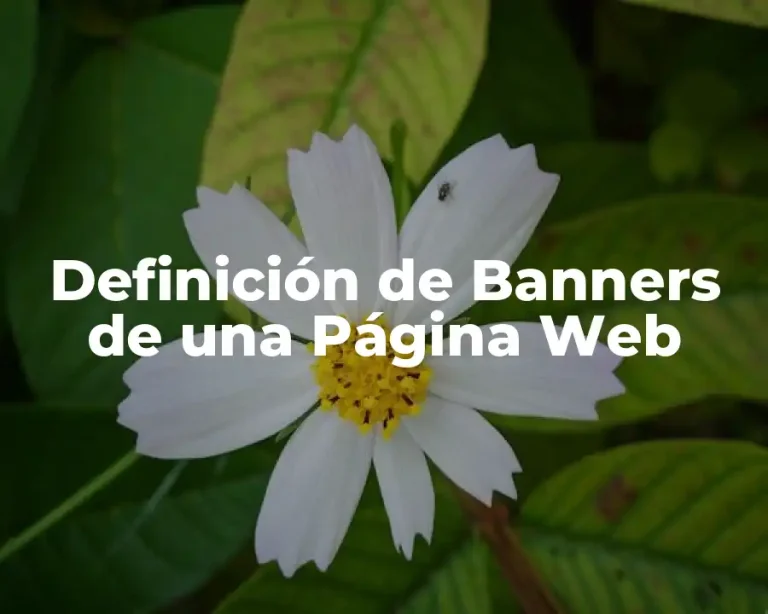 Definición de Banners de una Página Web