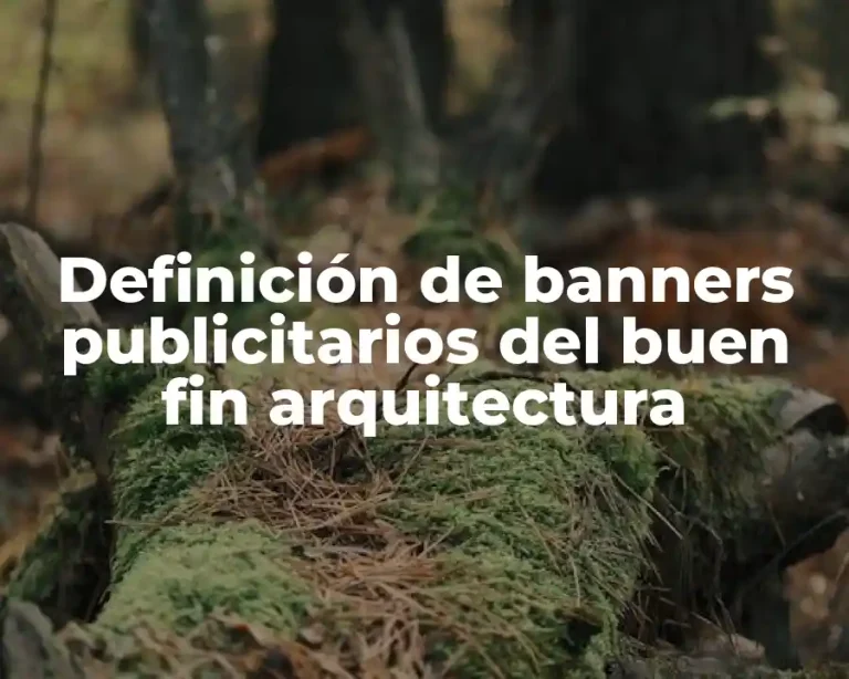 Definición de banners publicitarios del buen fin arquitectura