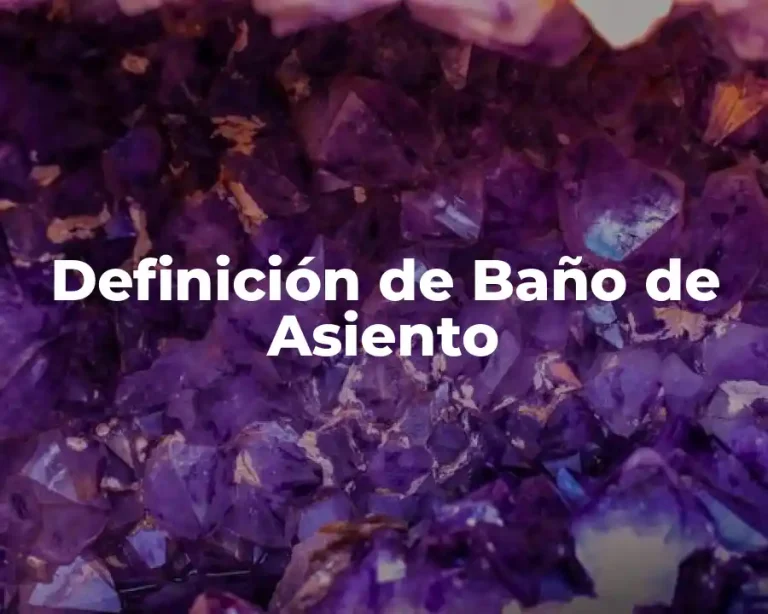 Definición de Baño de Asiento