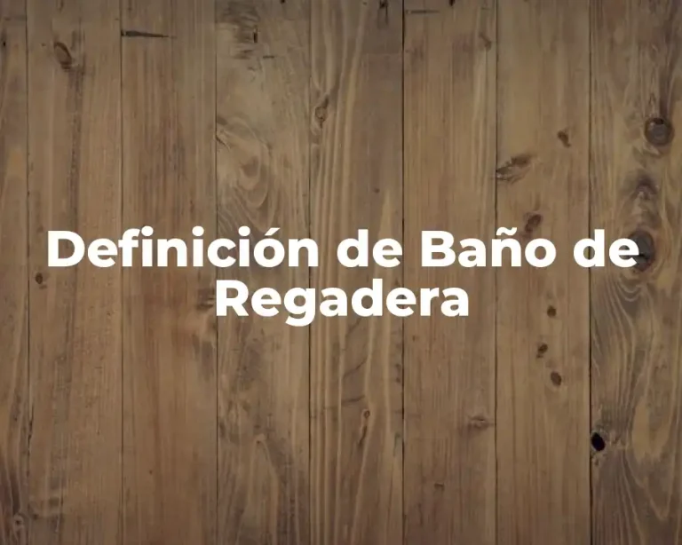 Definición de Baño de Regadera