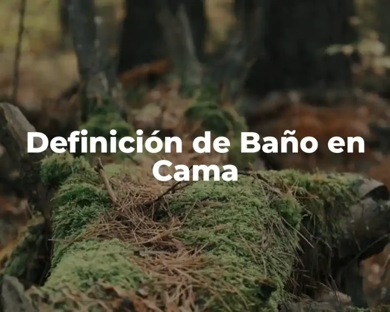 Definición de Baño en Cama