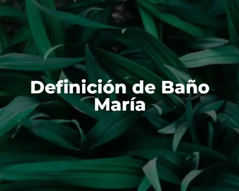 Definición de Baño María
