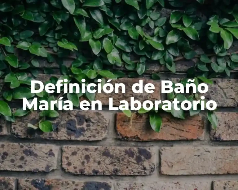 Definición de Baño María en Laboratorio