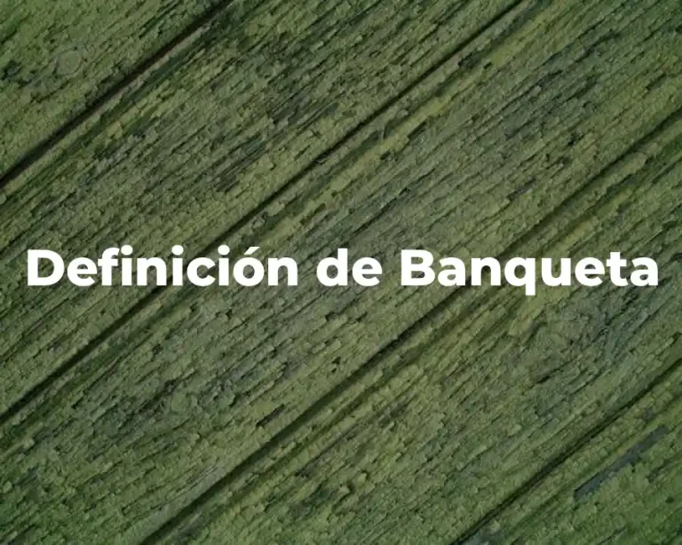 Definición de Banqueta