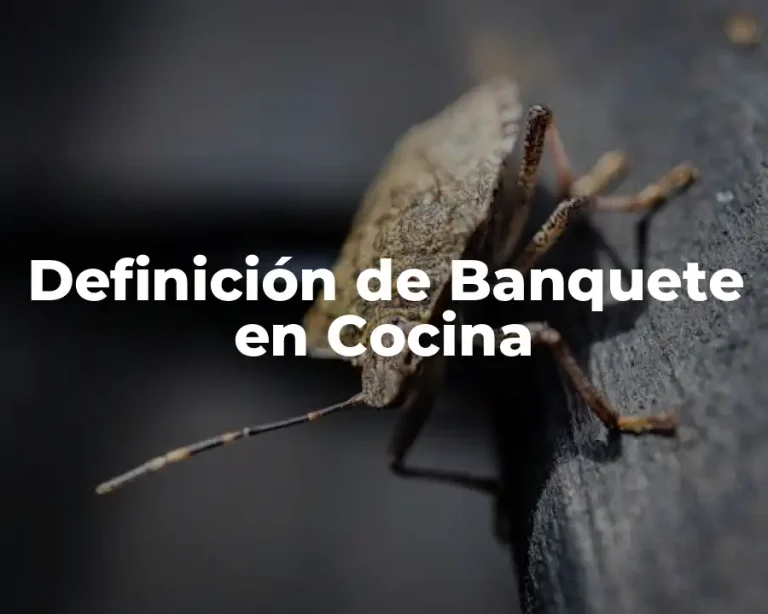 Definición de Banquete en Cocina