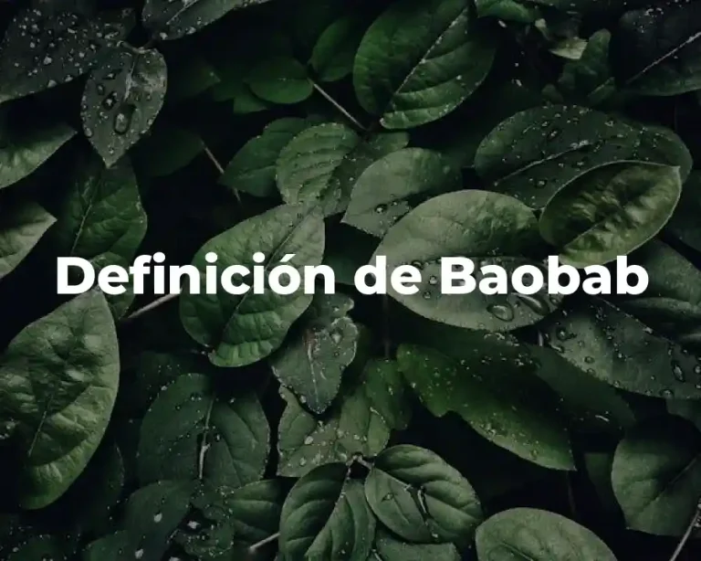 Definición de Baobab