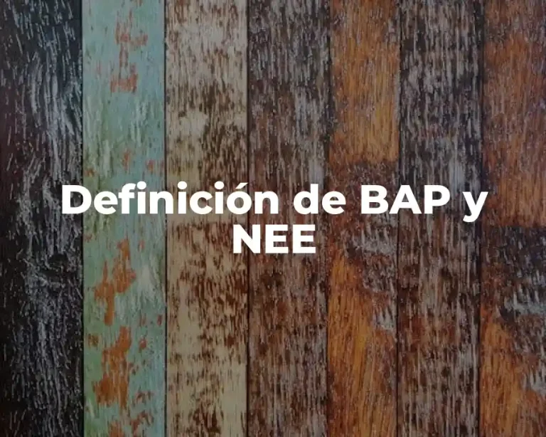 Definición de BAP y NEE