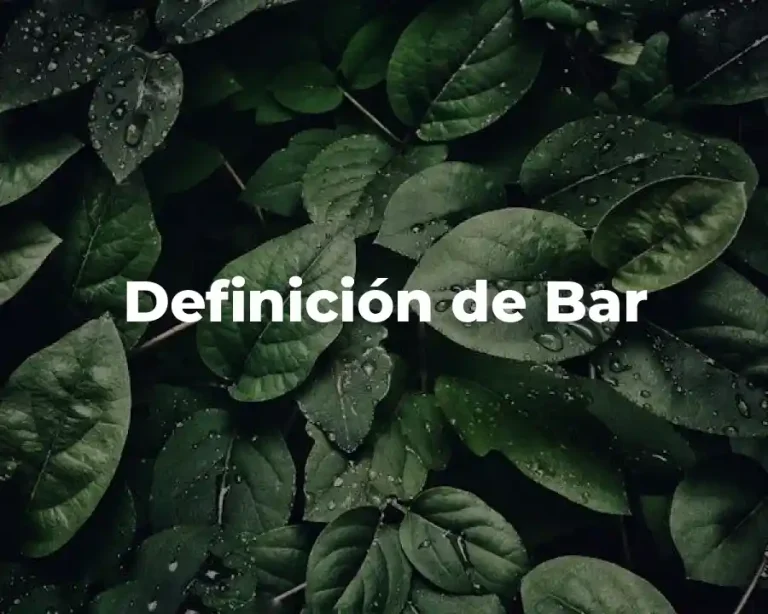 Definición de Bar