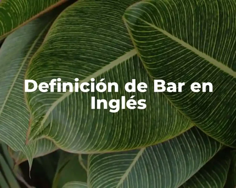 Definición de Bar en Inglés
