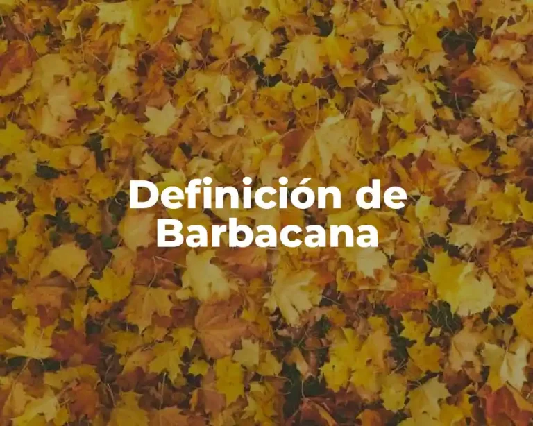 Definición de Barbacana