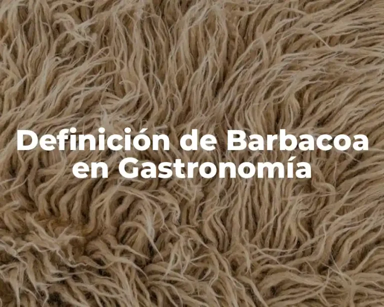 Definición de Barbacoa en Gastronomía