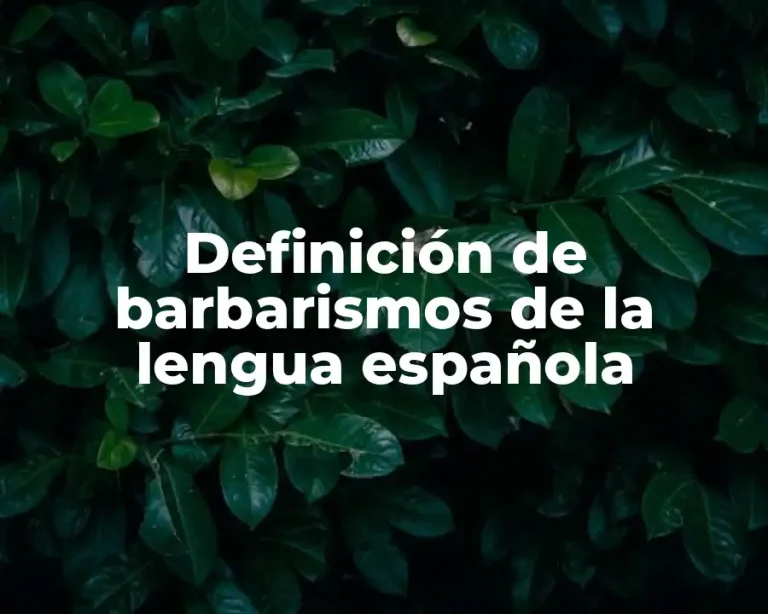 Definición de barbarismos de la lengua española