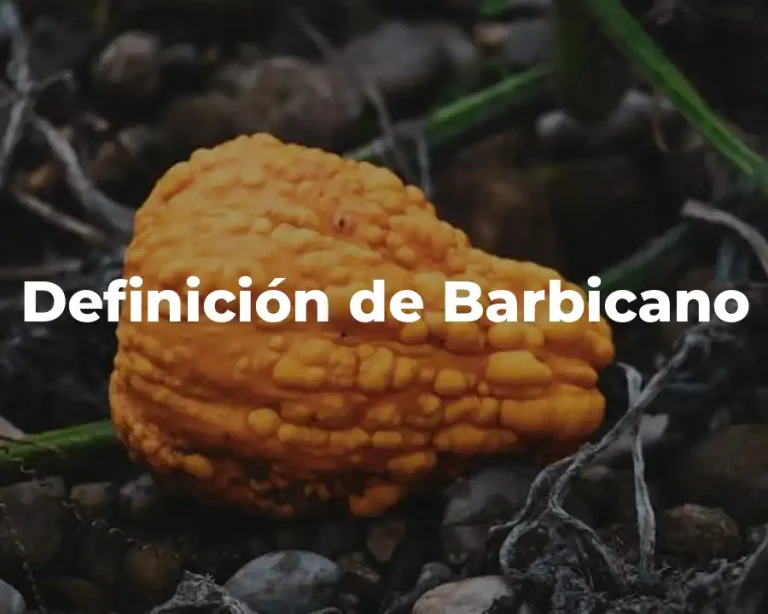 Definición de Barbicano