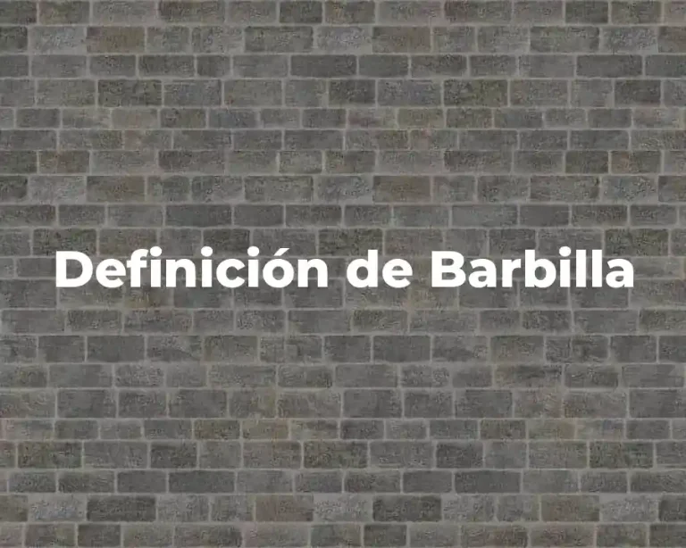Definición de Barbilla