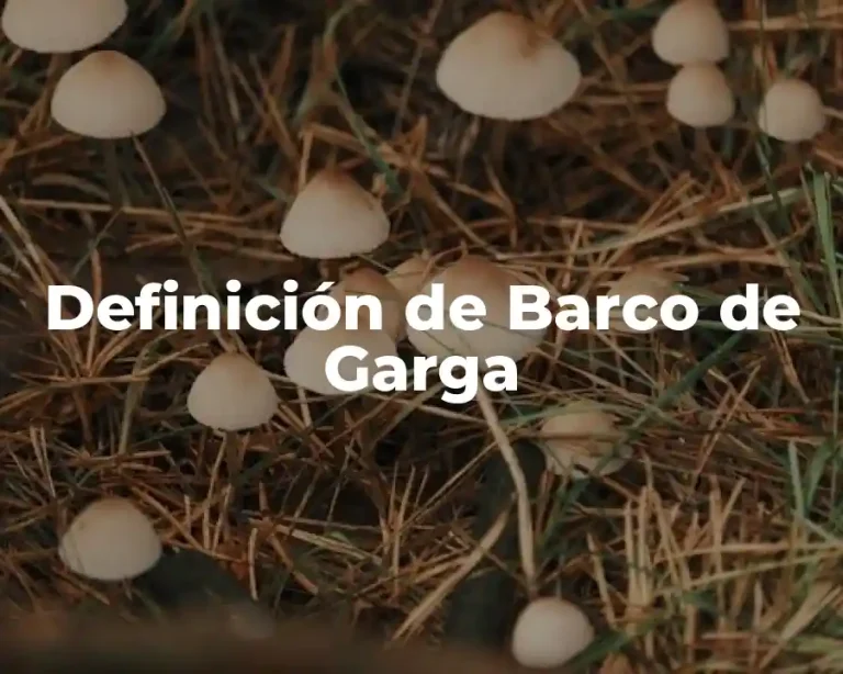 Definición de Barco de Garga