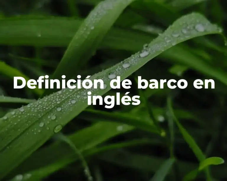 Definición de barco en inglés