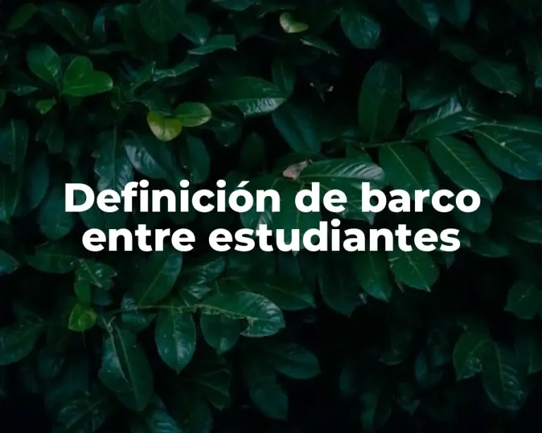 Definición de barco entre estudiantes