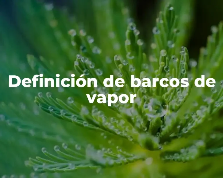 Definición de barcos de vapor