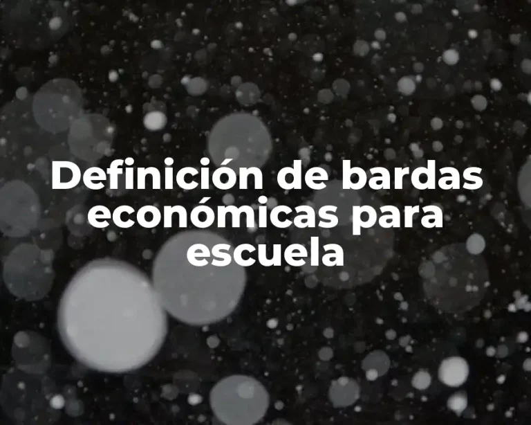 Definición de bardas económicas para escuela