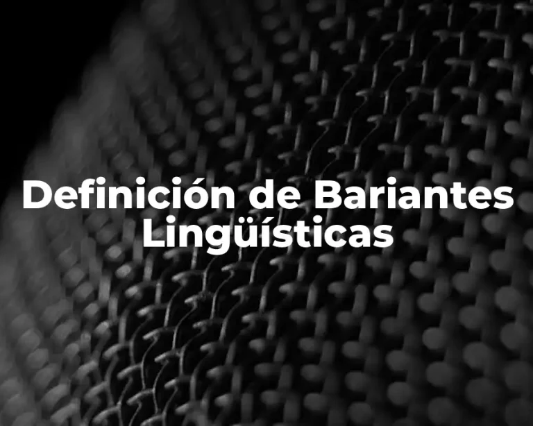 Definición de Bariantes Lingüísticas