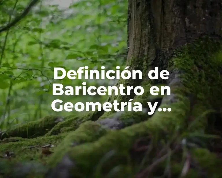 Definición de Baricentro en Geometría y Trigonometría