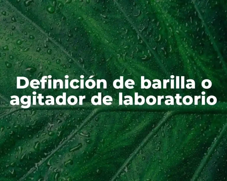 Definición de barilla o agitador de laboratorio