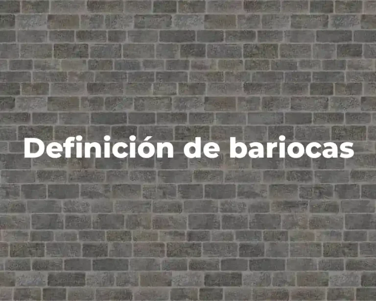 Definición de bariocas