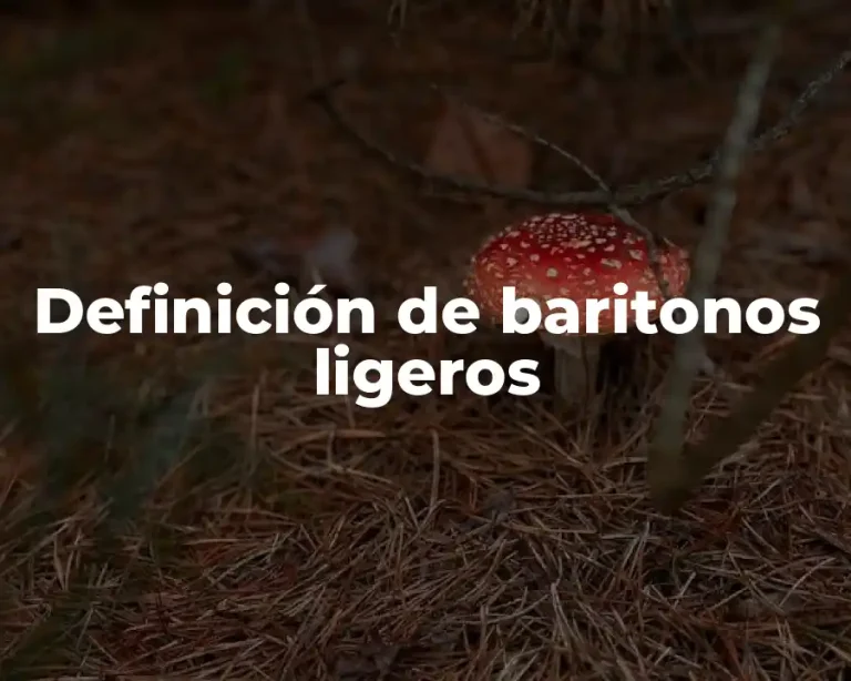 Definición de baritonos ligeros