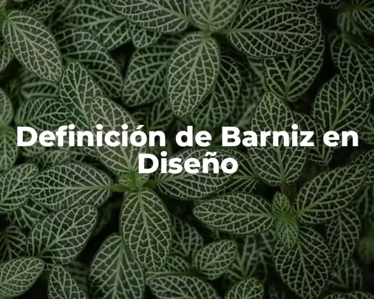 Definición de Barniz en Diseño