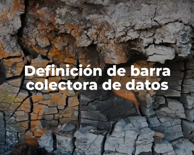 Definición de barra colectora de datos