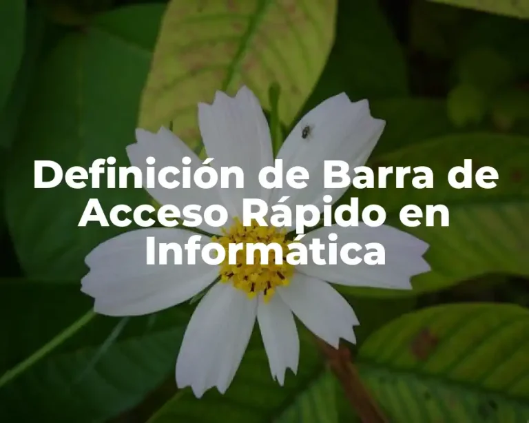 Definición de Barra de Acceso Rápido en Informática