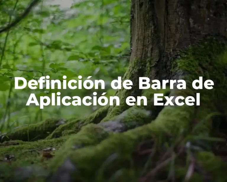 Definición de Barra de Aplicación en Excel