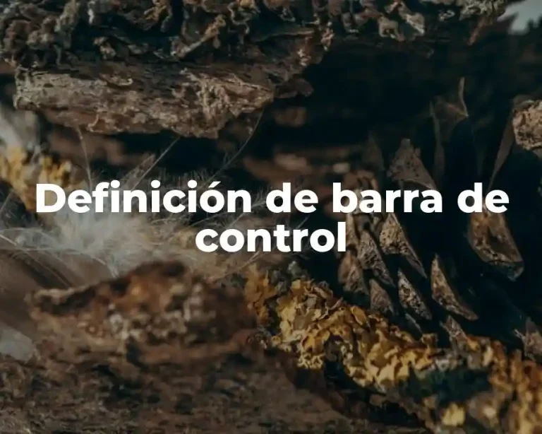 Definición de barra de control
