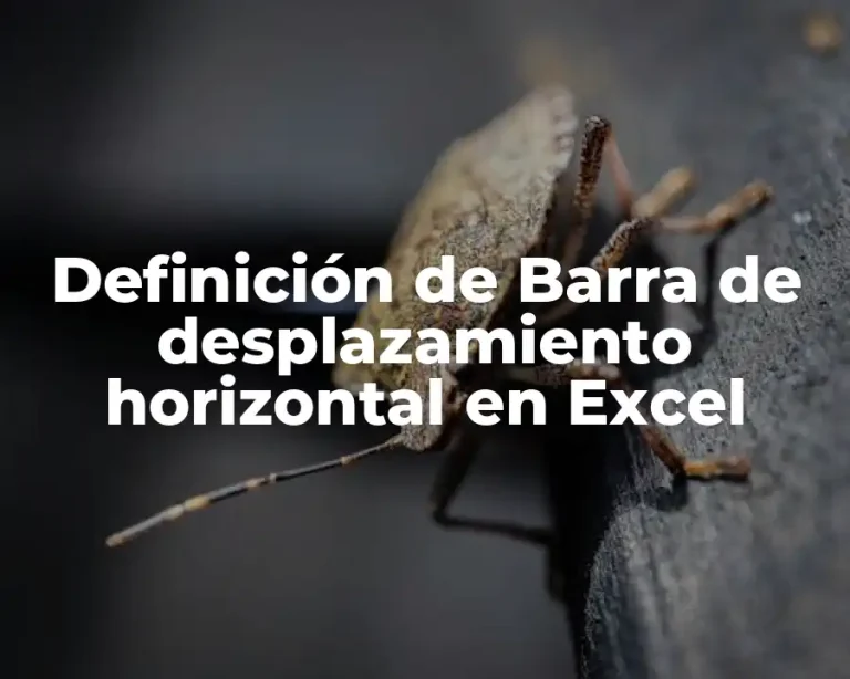 Definición de Barra de desplazamiento horizontal en Excel