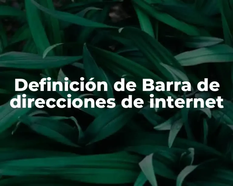 Definición de Barra de direcciones de internet